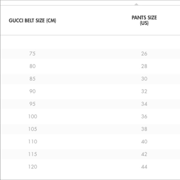 Gucci Interlocking Leather & Canvas Belt 🎊 Host Pick - Picture 9 of 11